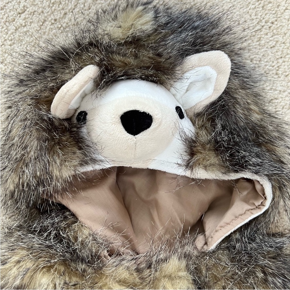 Pottery Barn Kids Rare Hedgehog Costume - LIKE NEW - Picture 3 of 6